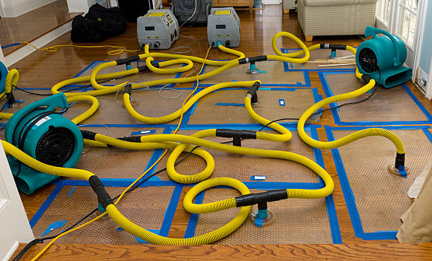 Professional Crawl Space Water Removal technician working in Rock Island, IL